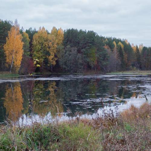 Photo #6567620