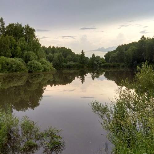 Photo #6567651
