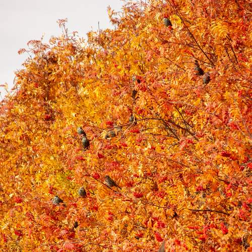 Photo #6567723