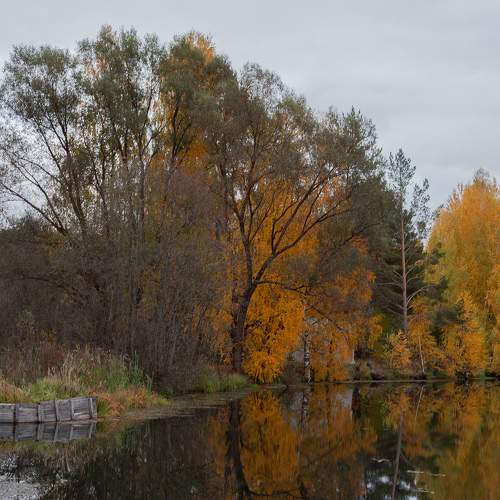 Photo #6567747