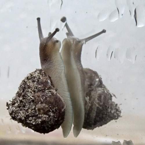Photo #6567754