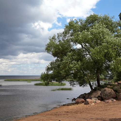 Photo #6567790