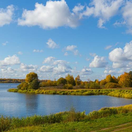 Photo #6568002