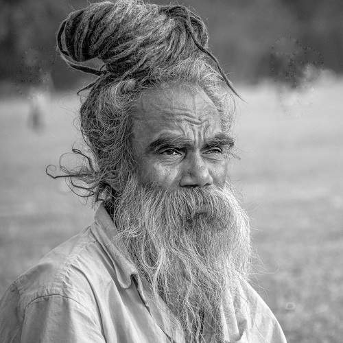Photo #6568020