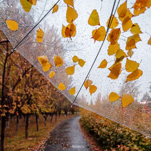 Photo #6568079