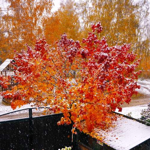 Photo #6568131