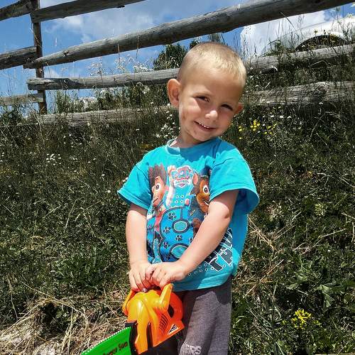 Photo #6568144