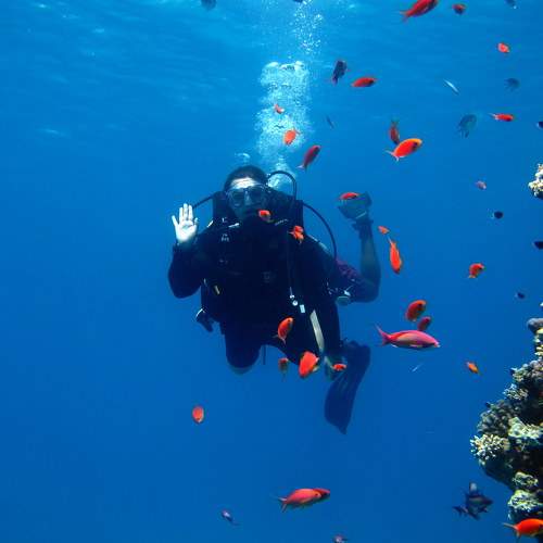 Photo #6568183