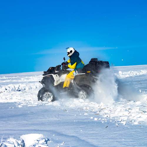 Photo #6568353