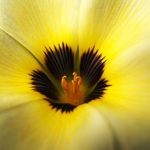 Photo #6568503