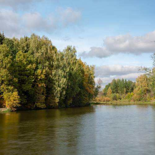Photo #6568642