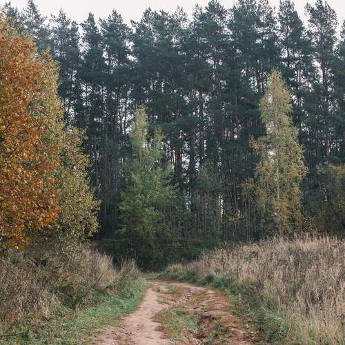 Photo #6568644