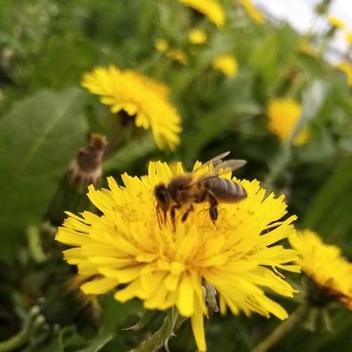 Photo #6568944