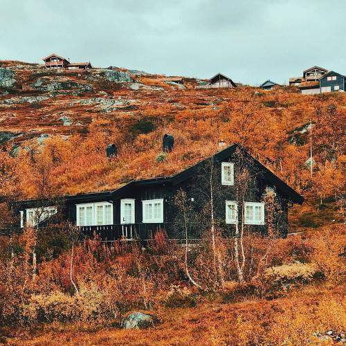 Фотография #6569062