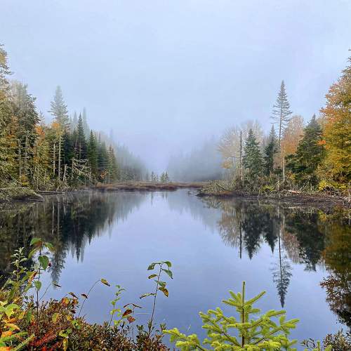Photo #6569082
