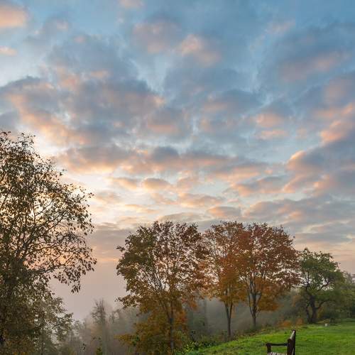 Photo #6569168