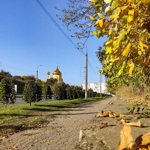 Золотистая пора