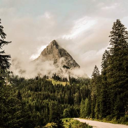 Photo #6569461