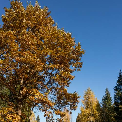 Photo #6569577
