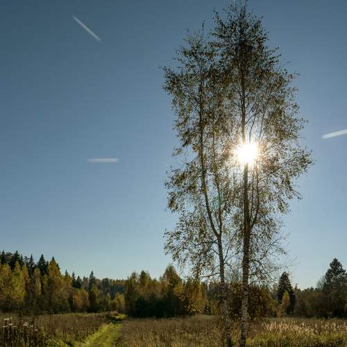Photo #6569592