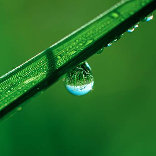 Photo #6569648