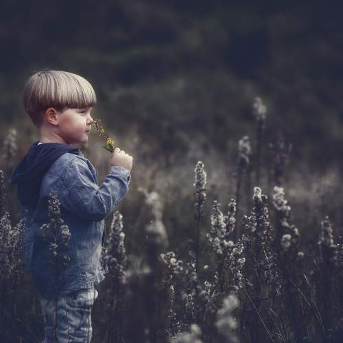 Matteo and the dead flowers