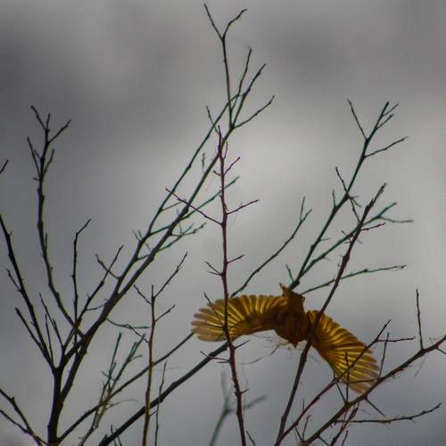 Photo #6569770