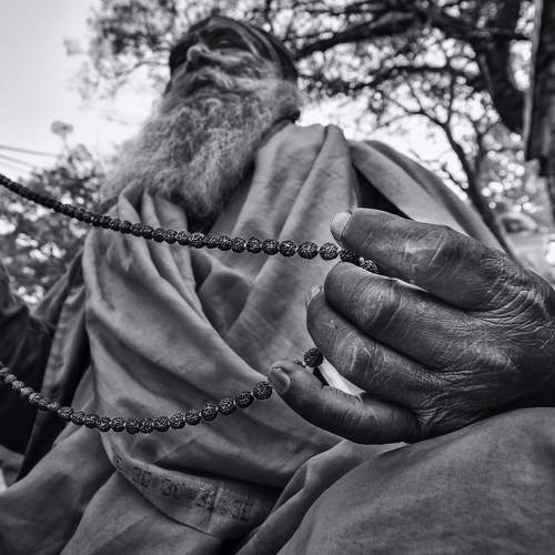 Photo #6569791