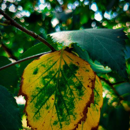 Photo #6569845