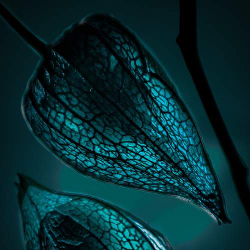 Photo #6569863