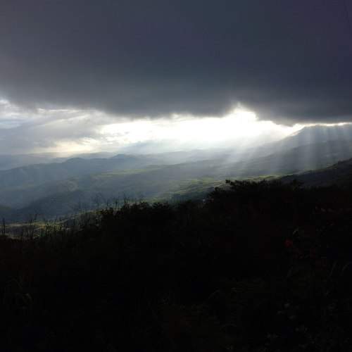 Photo #6570059