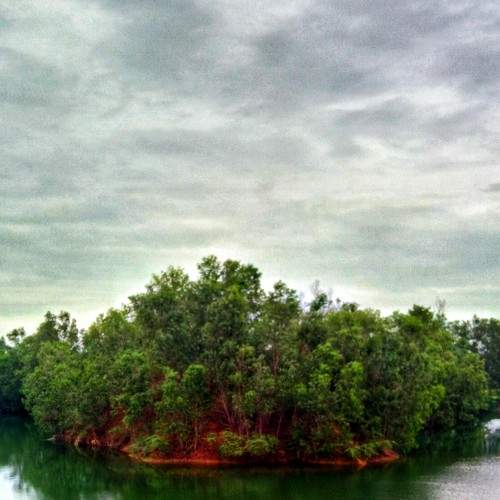 The Mysterious Island