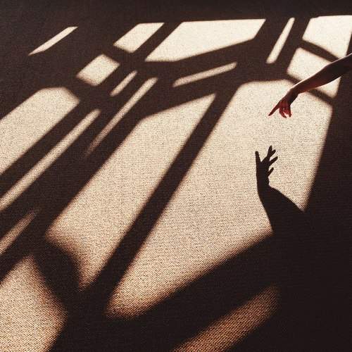 Photo #6570501