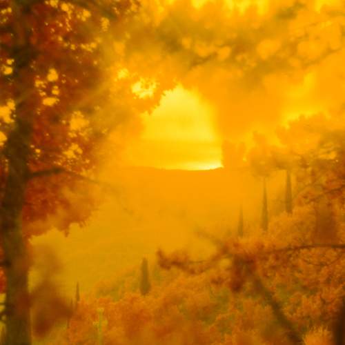 Photo #6570613