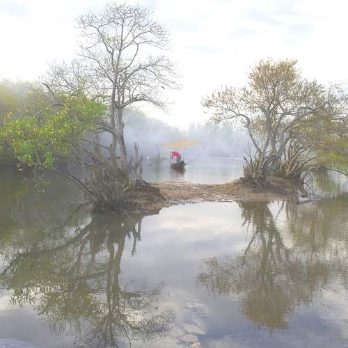 Photo #6570920