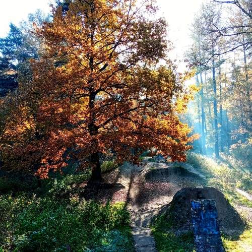 Photo #6571273