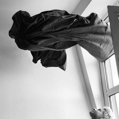 Photo #6571313