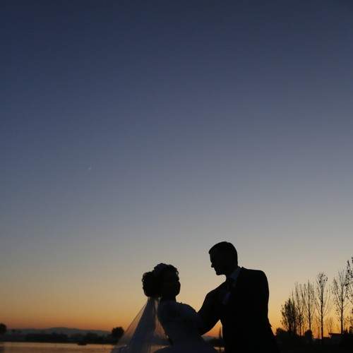 Photo #6571409