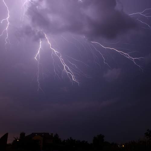 Photo #6571579