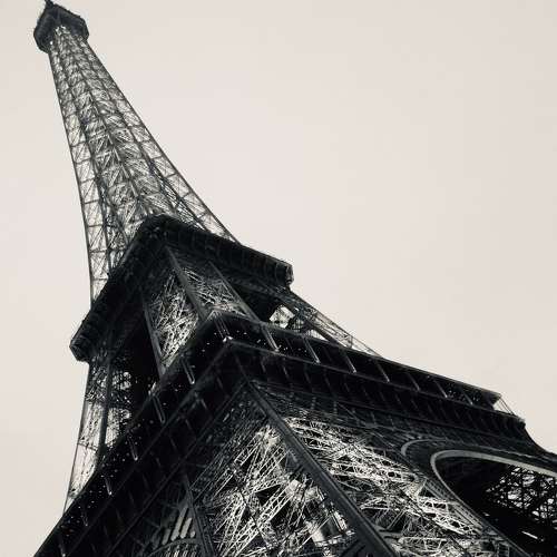 Photo #6571600