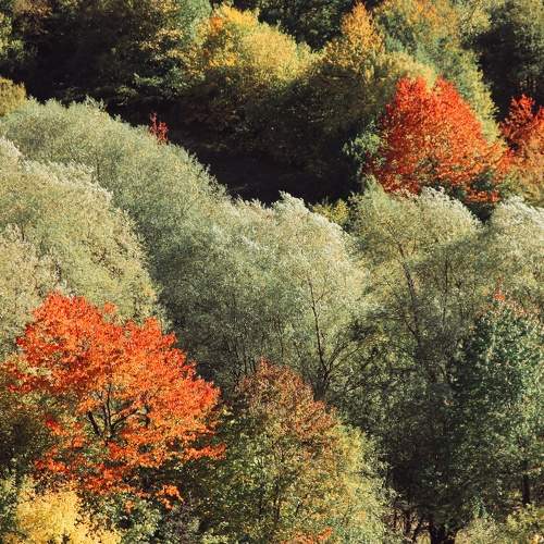 Photo #6571652