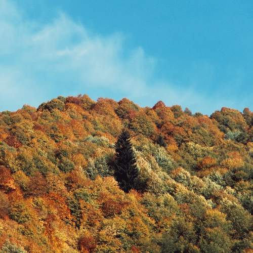 Photo #6571653