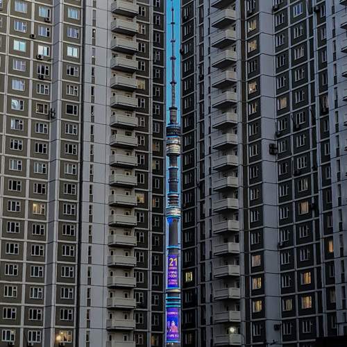 Photo #6571714