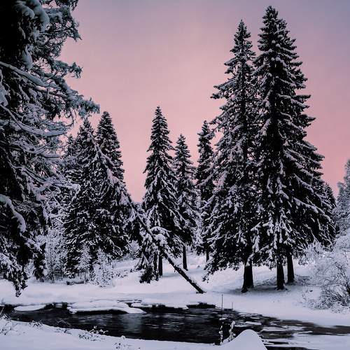 Photo #6571856