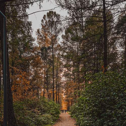 Photo #6571857
