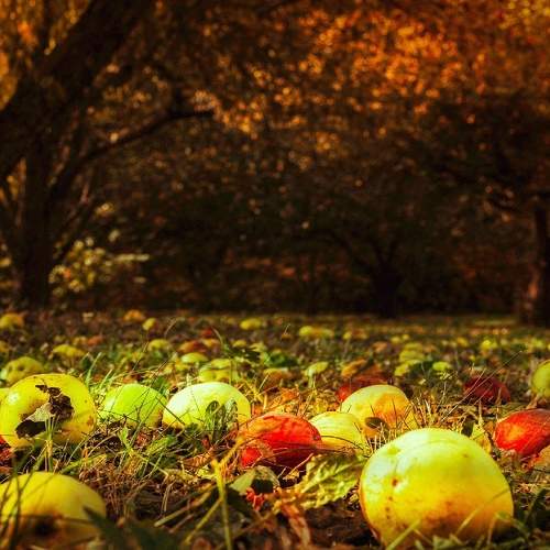 Photo #6572090