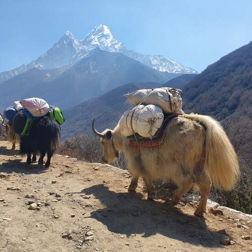 Photo #6572256