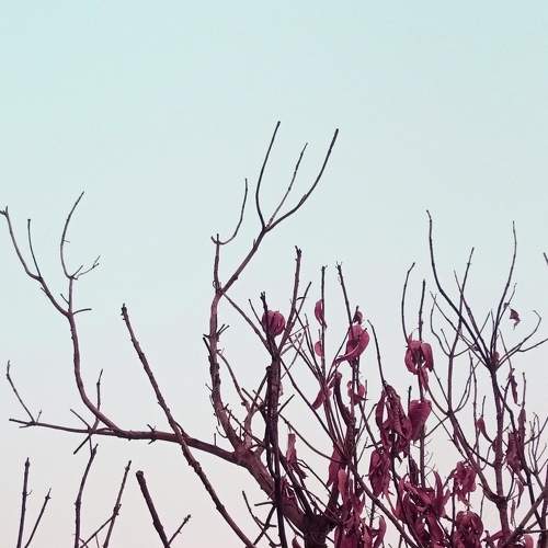 Photo #6572387
