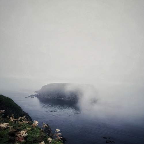 Photo #6572542