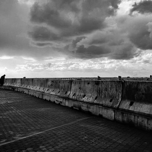 Photo #6572675